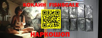 крисы Надым