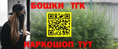 крисы Надым