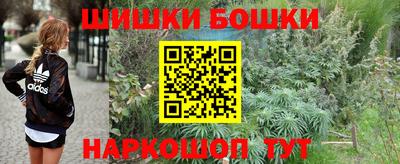 крисы Надым