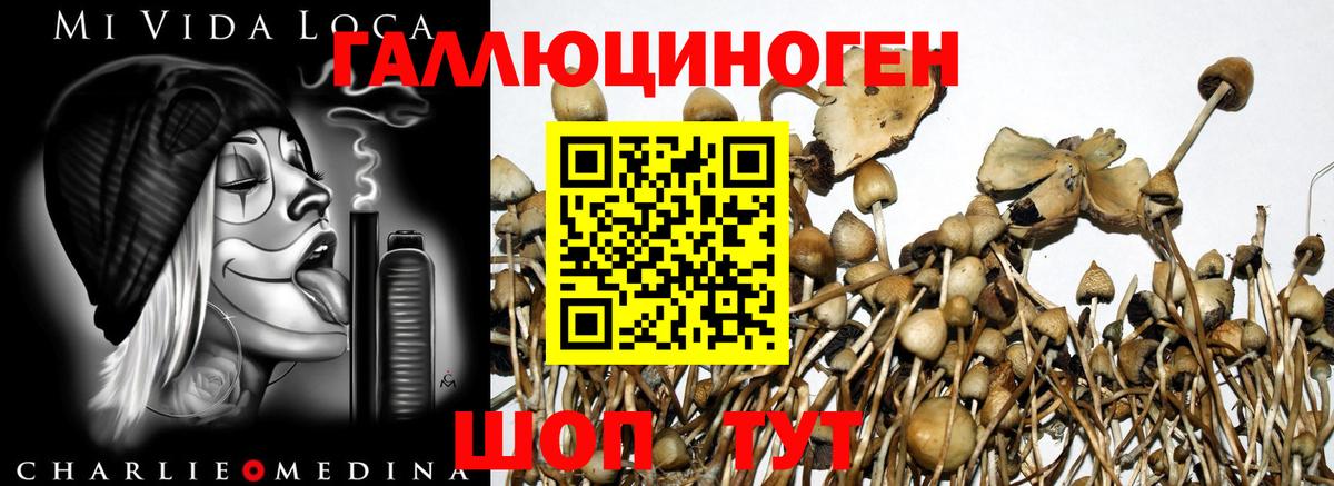 Галлюциногенные грибы Magic Shrooms  Вход с VPN  Аргун 